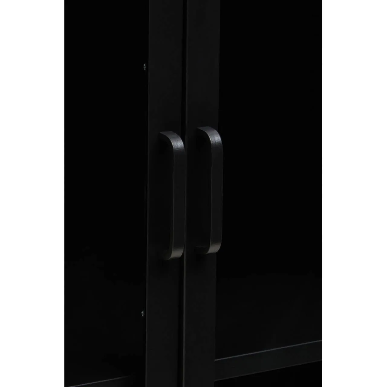 Acier Two Door Black Cabinet