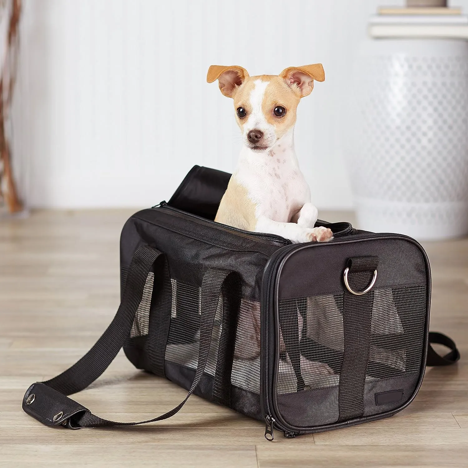 Amazon Basics Soft-Sided Mesh Pet Travel Carrier (Small Black)