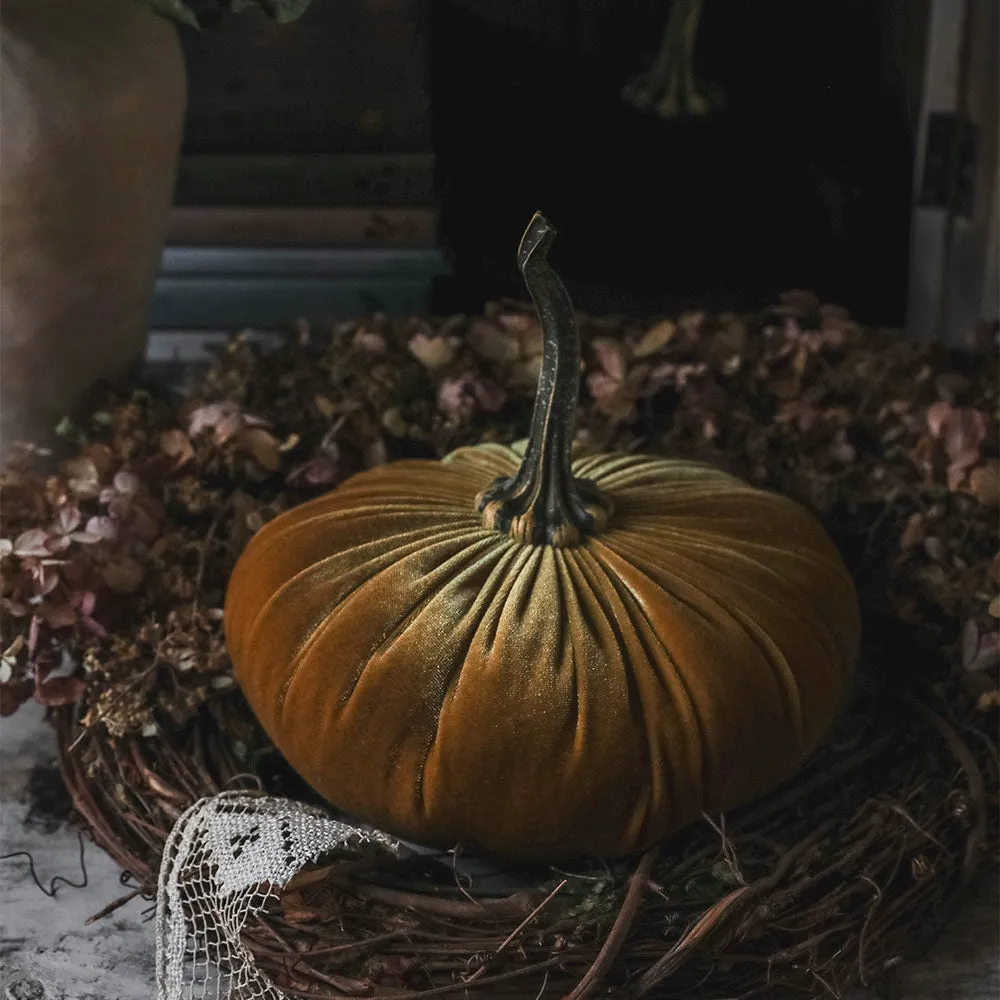 Autumn Velvet Pumpkin