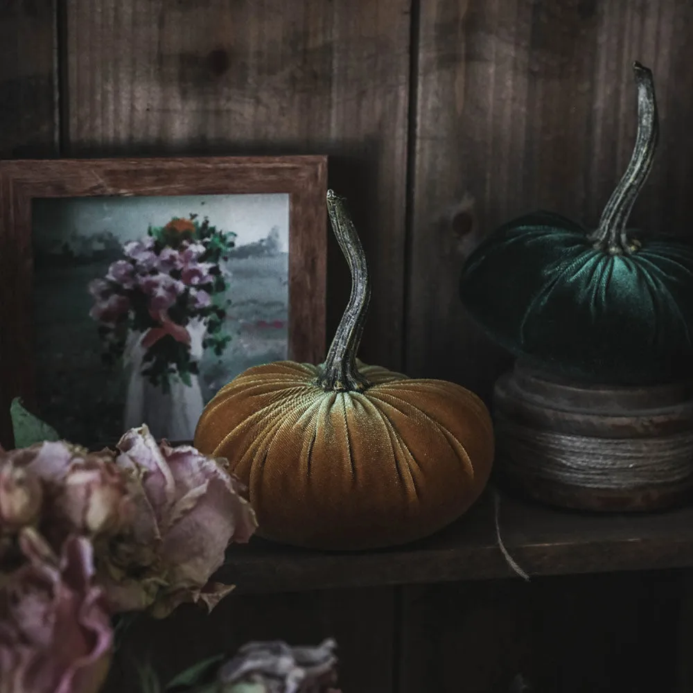 Autumn Velvet Pumpkin