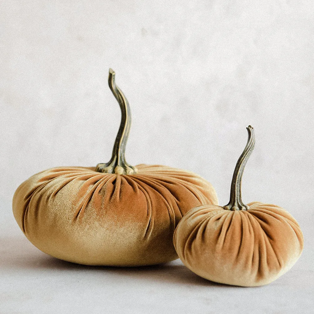 Autumn Velvet Pumpkin