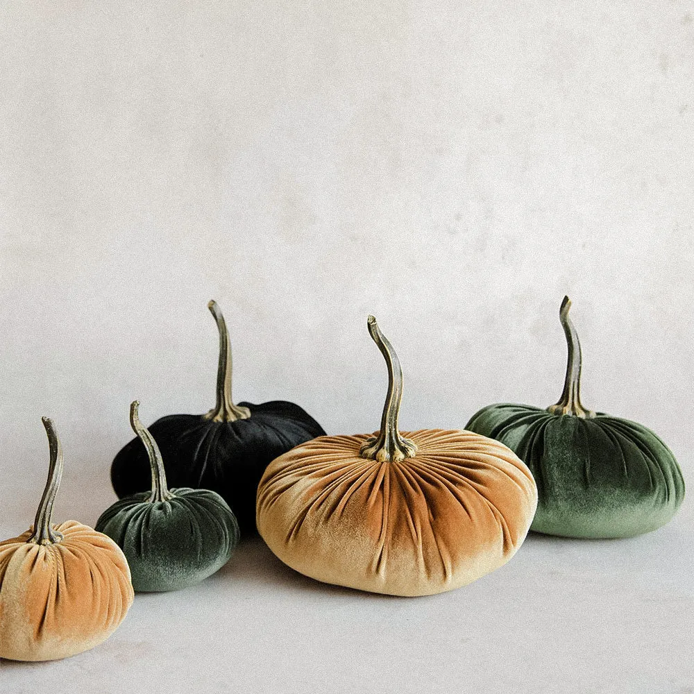 Autumn Velvet Pumpkin