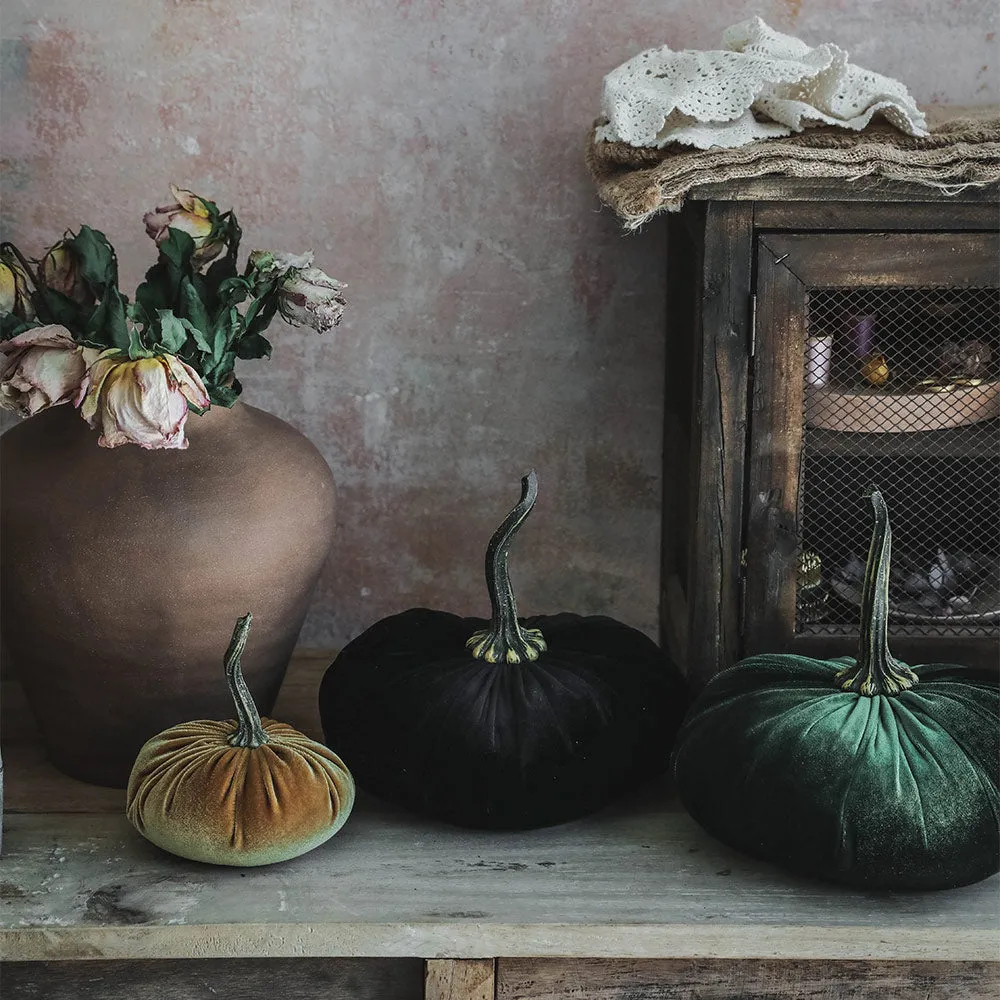 Autumn Velvet Pumpkin