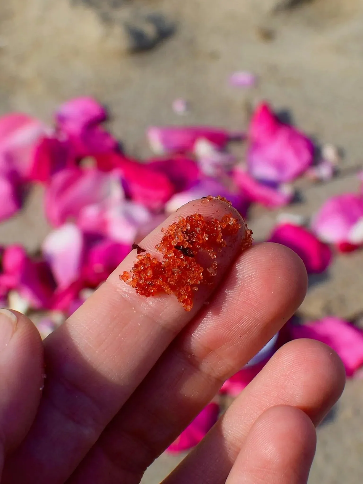 Beach Rose Scrub