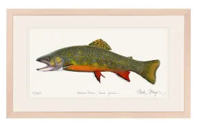 Brook Trout, Large Framed Hand-Signed Print