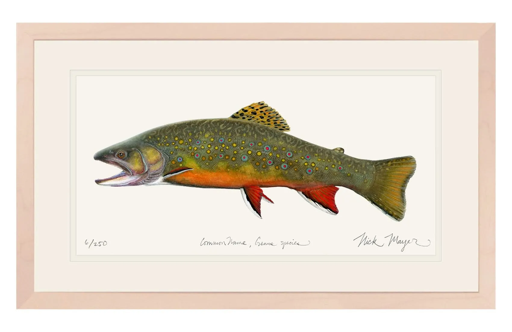 Brook Trout, Large Framed Hand-Signed Print