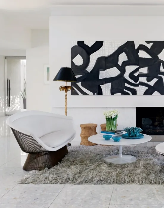 Distinctly Modern Interiors | Emily Summers