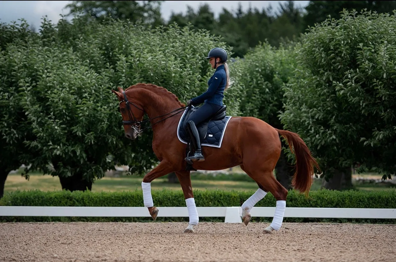 EQUESTRIAN STOCKHOLM MIDNIGHT WHITE EDGE DRESSAGE PAD