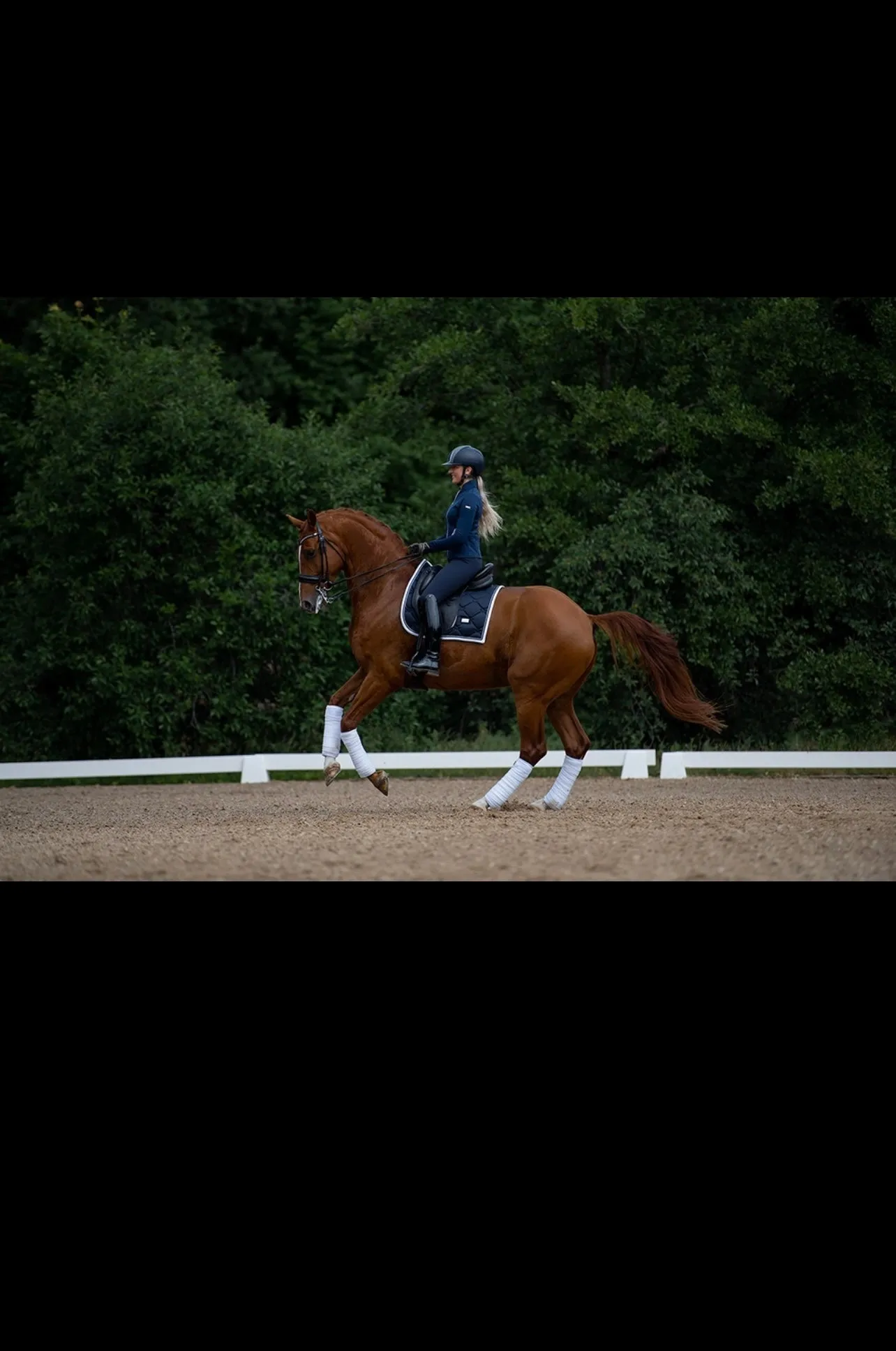 EQUESTRIAN STOCKHOLM MIDNIGHT WHITE EDGE DRESSAGE PAD