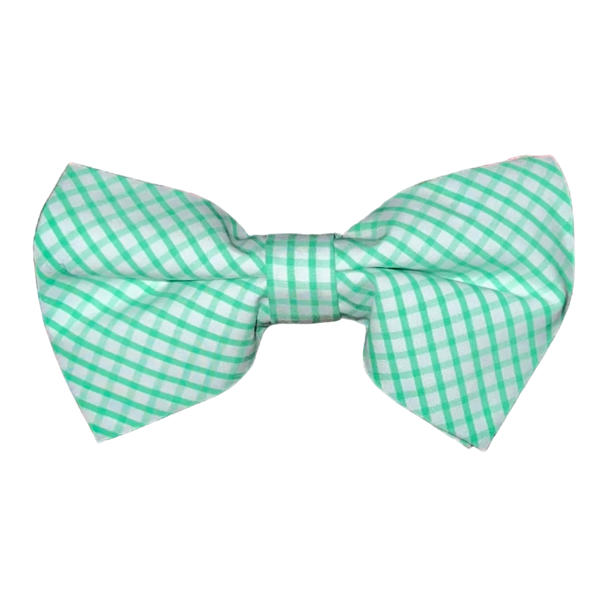 Mens Bowentie- Seagrass Green