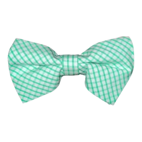 Mens Bowentie- Seagrass Green